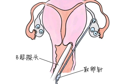 http://changsha.huochezhan.net/post/205.html|长沙供卵助孕