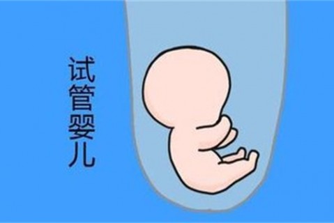 培养长沙捐卵宝宝艺术细胞的小技巧