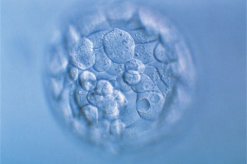 http://changsha.huochezhan.net/post/200.html|长沙新闻中心